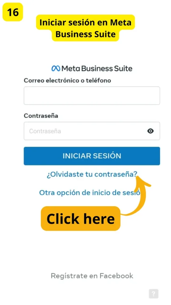 Iniciar sesión en Meta Business Suite